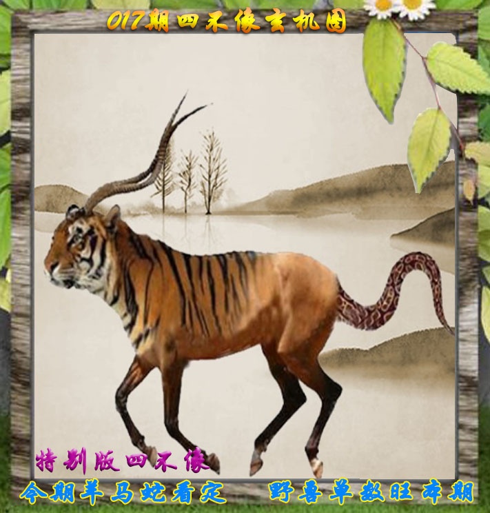 第017期四不像特别版幽默玄机