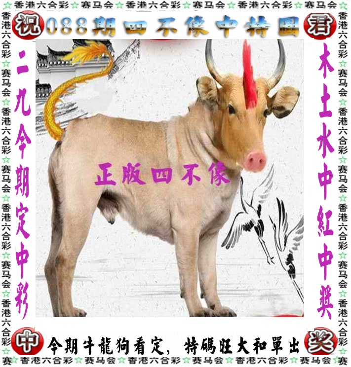跑狗论坛088期：正版四不像